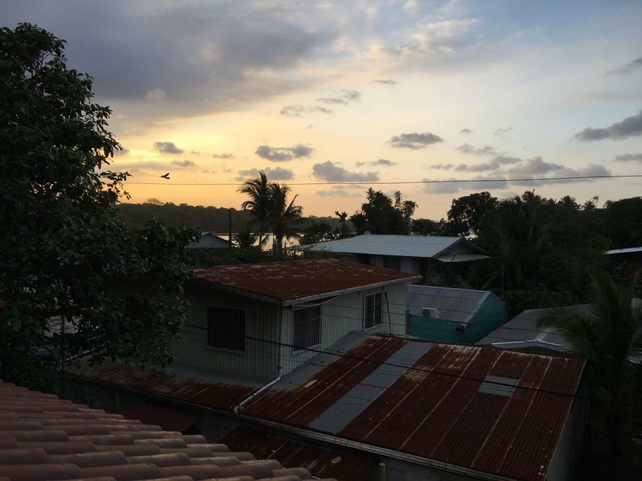 Tortuguero Casa Pelican 外观 照片